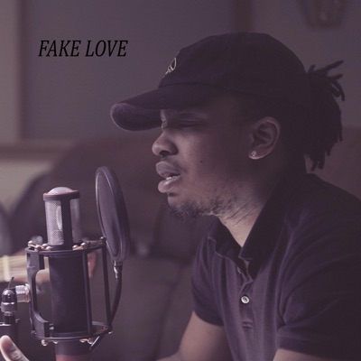 Fake Love (feat. Jas) - Single