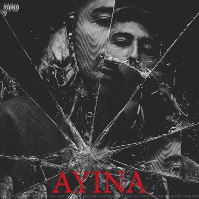 SARAL (feat. Drutagami) - Single