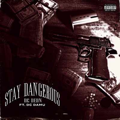 Stay Dangerous (feat. Dc Damu) - Single