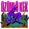 Üzümlü Kek - Single