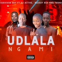 UDLALA NGAMI (feat. DJ Active, Beekay Rsa & Tasha) - Single - Survivor Boy