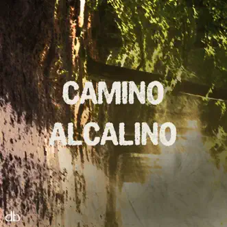 Camino Alcalino (Riksön Remix) by Silvina Romero song reviws