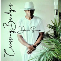 Album cover for Crossing Bridges by Dino Stone
