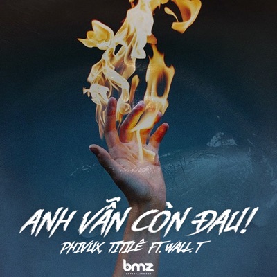 Anh Vẫn Còn Đau (feat. BMZ & Wall.T) - Single