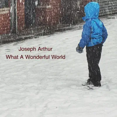 What a Wonderful World - Single - Joseph Arthur