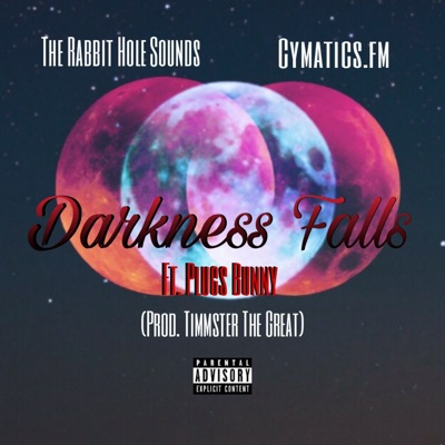 What If, Episode One (Darkness Falls) (feat. Plugs Bunny) - Single