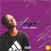 Winky - Single