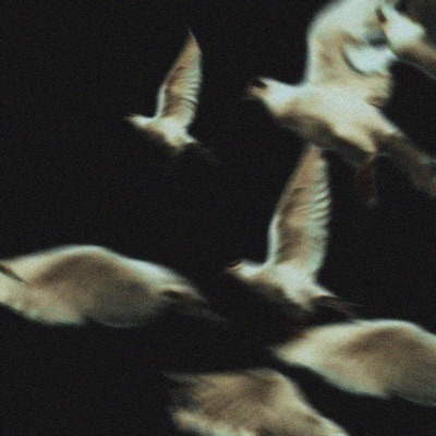 Angels (feat. Ganavya) - Single