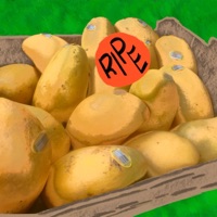 Ripe - Single - Skechiii