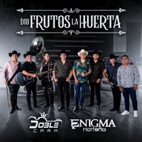 Dio Frutos La Huerta - Single - Doble Cara & Enigma Norteño