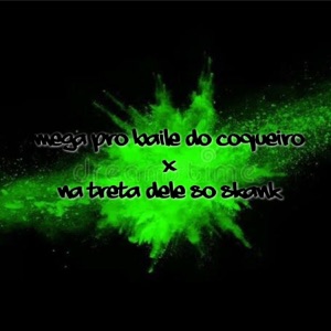 Mega pro Baile do Coqueiro X Na treta dele só skank (feat. DJ PAULIN DA INESTAN)