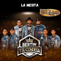 La Mesita - Single - Bertín y su Condesa & Dinastya Angelito