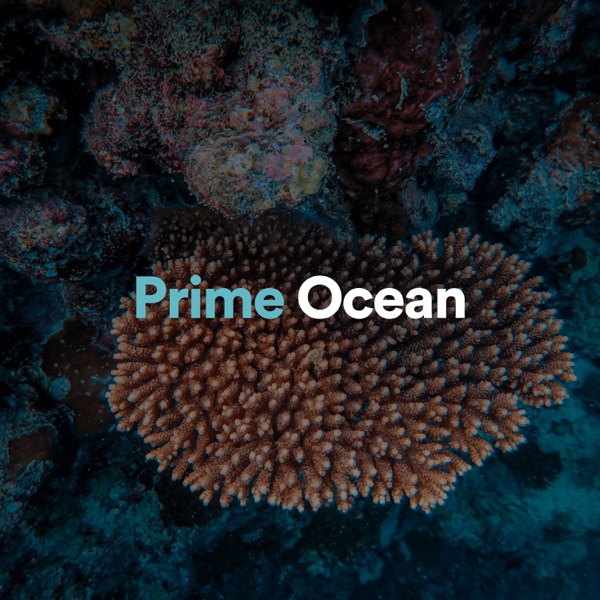 Prime Ocean