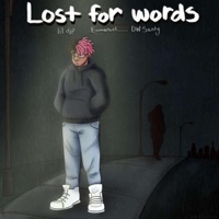 Lost For Words (feat. Endri & DW Santy) - Single - Lil Djp