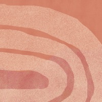 Oyster - Single - Seatt