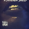 steppa 2