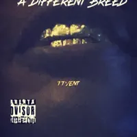 Big Steppa 2 — MrDoTwoMuch