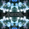 One Night at the Jane - Single