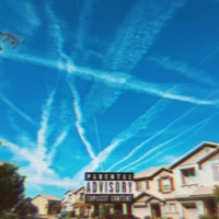 Put Your Shit To Rest Now (feat. torusfields) - Single - -LEX-