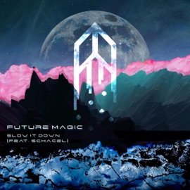 Slow It Down (feat. Schacel) Future Magic