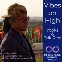 Vibes On High - Single - Yooks & Erik Rico