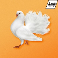 Windbreaker - Single - Cozway