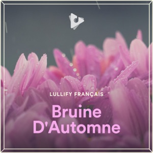 Bruine D'Automne