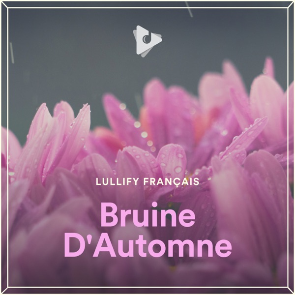 Bruine D'Automne