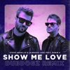 Show Me Love (feat. Robin S) [Dubdogz Remix] - Single