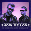 Show Me Love (feat. Robin S) [Dubdogz Remix] - Laidback Luke & Steve Angello