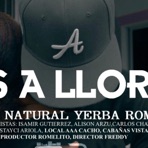Vas A Llorar (feat. El Demo & Narural Yerba) - Single