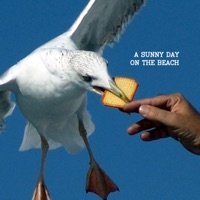 A Sunny Day On the Beach - Snckpck
