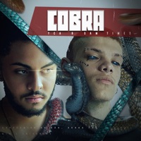 Cobra (feat. Sam Times) - Single - YCA