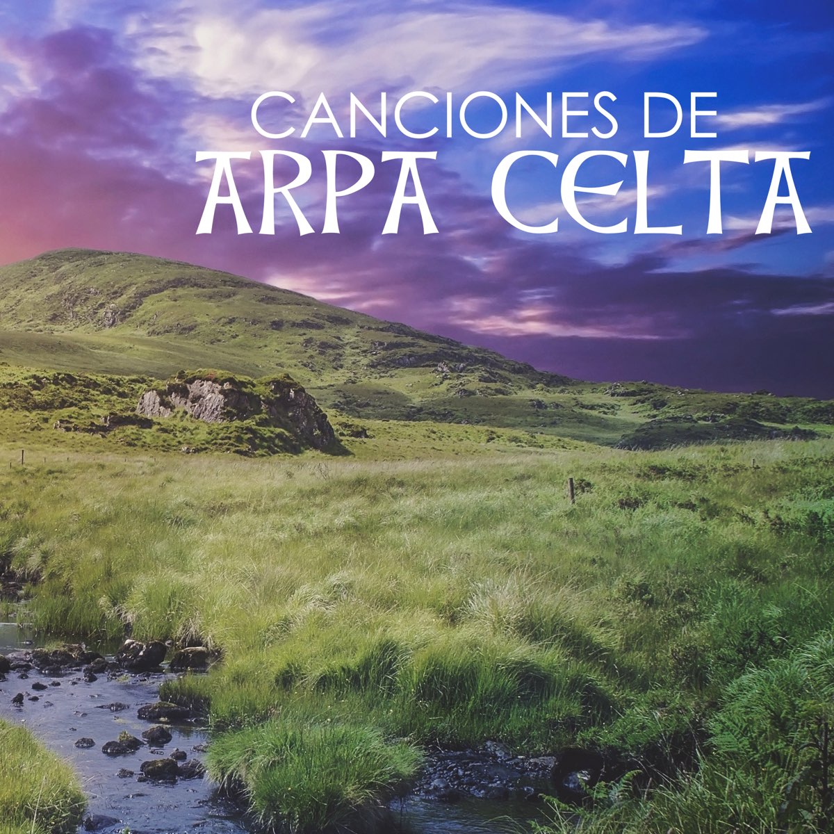 Canciones de Arpa Celta - Música Relajante Tradicional Irlandesa, Flauta,  Guitarra y Violín Instrumental - Album by Musica Celta All Stars - Apple  Music