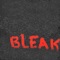 Bleak (feat. Tom Fleming & Nick Maffei) - Tim Freund lyrics