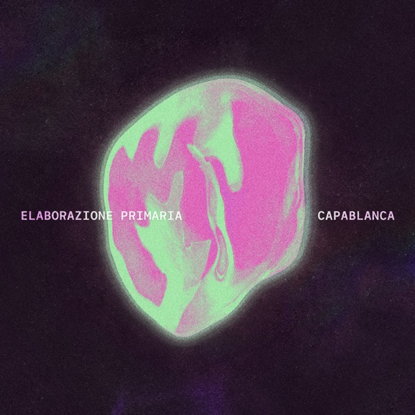 Elaborazione primaria - EP