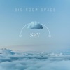 Sky - Single