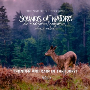 Sounds of Nature - Thunder and Rain in the Forest for Meditaion, Relaxation, Stress Relief, Vol. 1