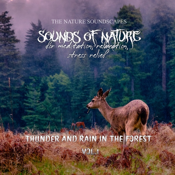 Sounds of Nature - Thunder and Rain in the Forest for Meditaion, Relaxation, Stress Relief, Vol. 1