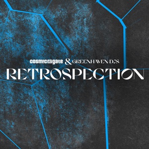 Retrospection - Single