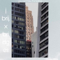 You Cant Fake This Feeling (feat. Bridges) - Single - J Brij.