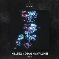 I Like It - Single - KiLLTEQ, D.HASH & Vallhee
