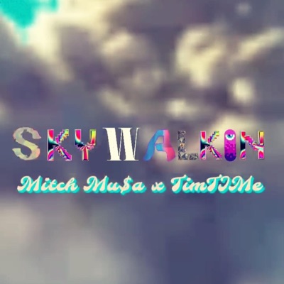 Skywalkin' (feat. TimTIMe) - Single