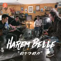 ดาวตก — Harem Belle
