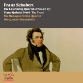 Franz Schubert - String Quartet No. 14 in D Minor, D. 810 "Death and the Maiden": I. Allegro