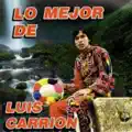 Vuelve