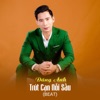 Trút Cạn Nỗi Sầu (Beat) - Single