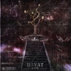 Hayat - Single