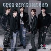 Good Boy Gone Bad (Japanese Version) artwork