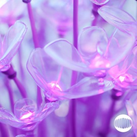 Sit Back & Relax Koastle